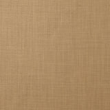 FA2-38 : Light Camel