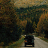 FD164 : Fox Rally Tweed Olive, Blue & Brown Check