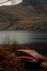 FD165 : The Grouse Moor Tweed