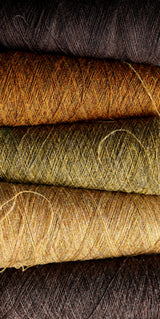 FD151 : Clifton Tweed