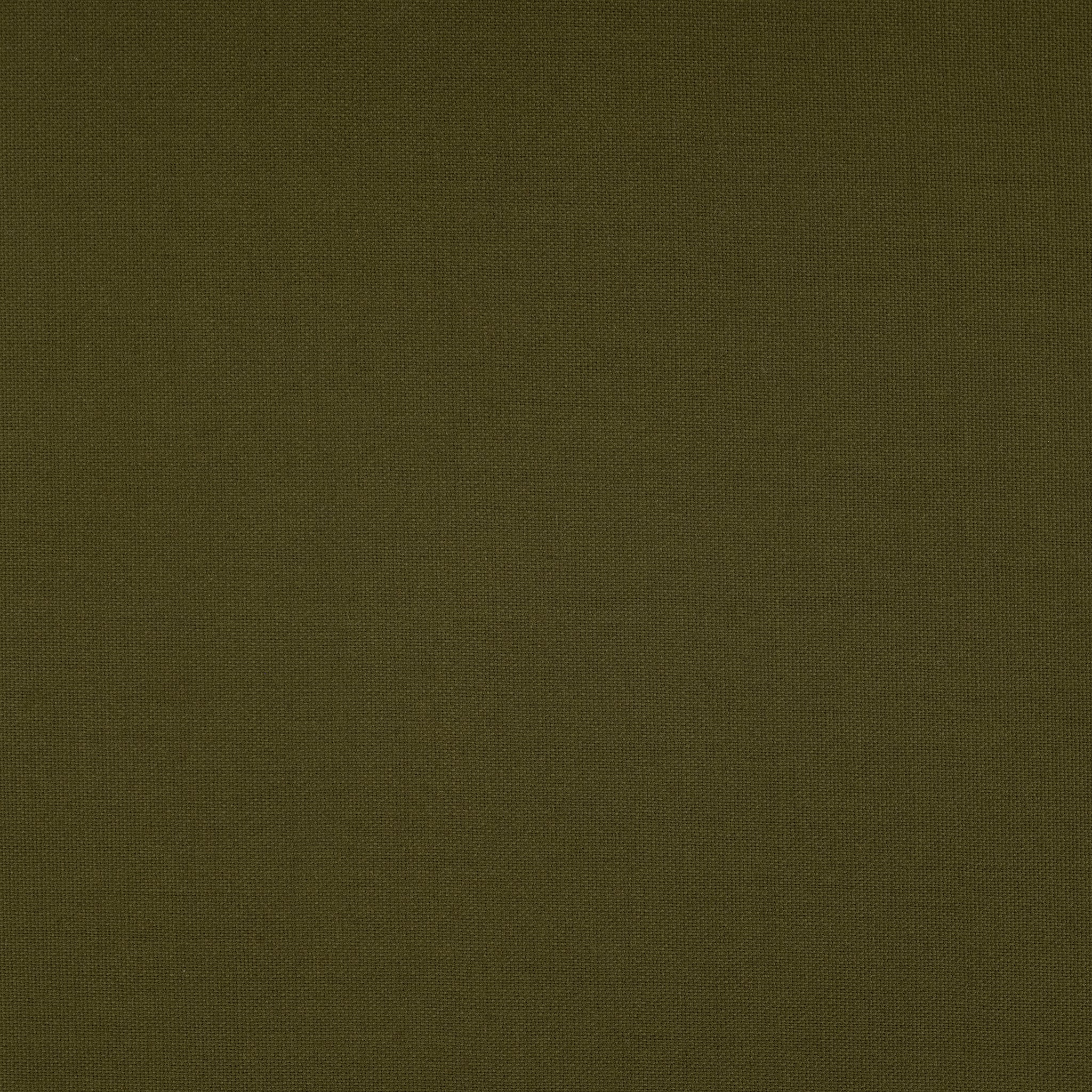 GF2-35: Golden Fox Olive Plain Cloth – Fox Brothers & Co Ltd