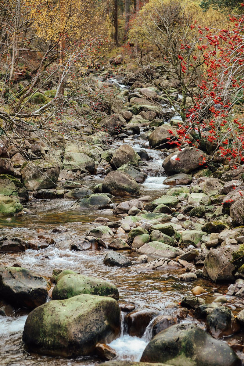 FD165 : The Grouse Moor Tweed