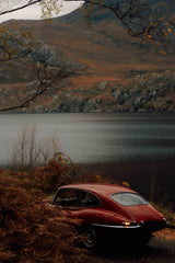 FD165 : The Grouse Moor Tweed
