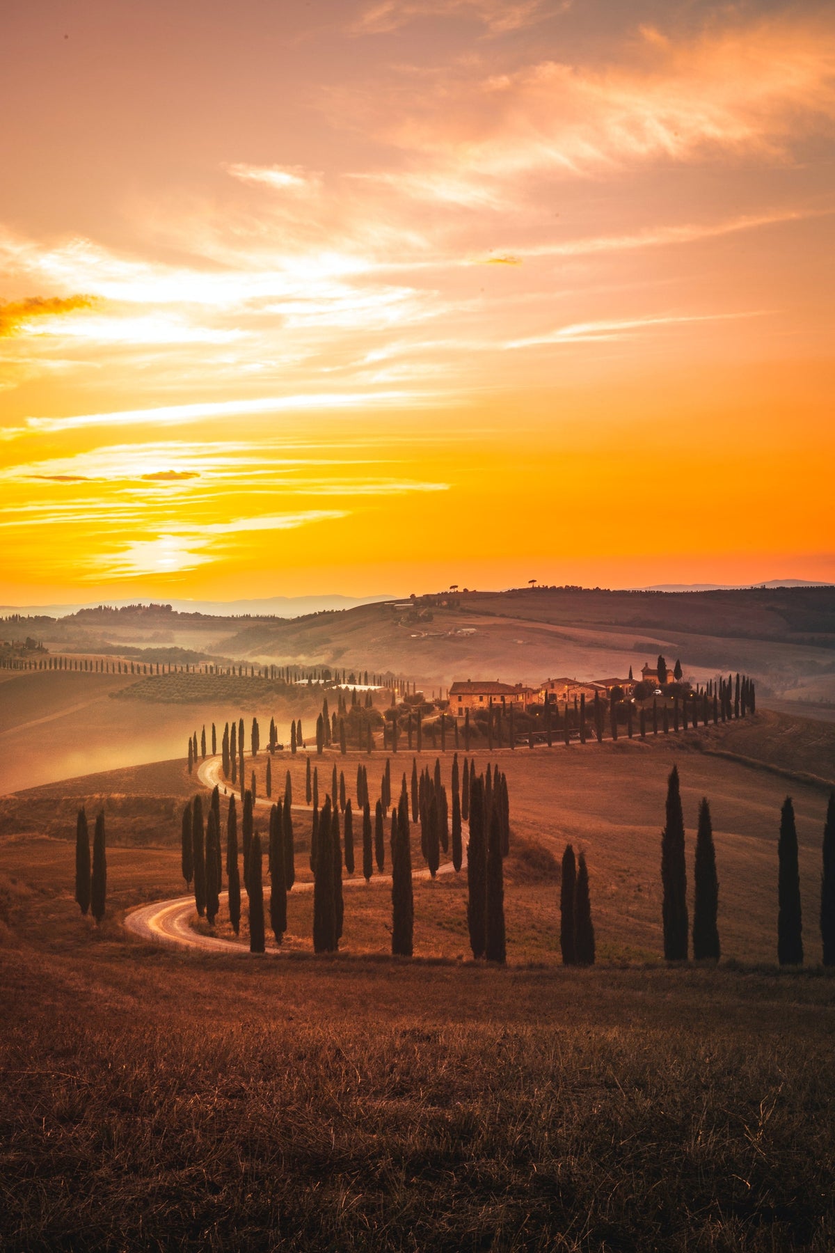 Photo by Jarno Cobbaert on Unsplash